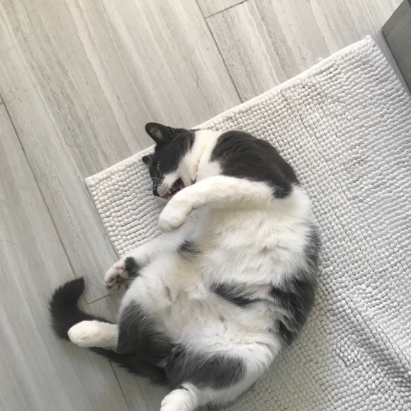 Hi! - Picture 1 of 1